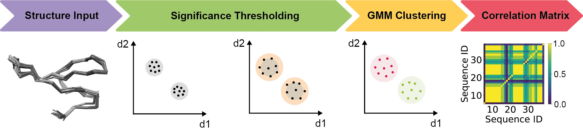 The graphical abstract presenting PDBcor data analysis workflow.